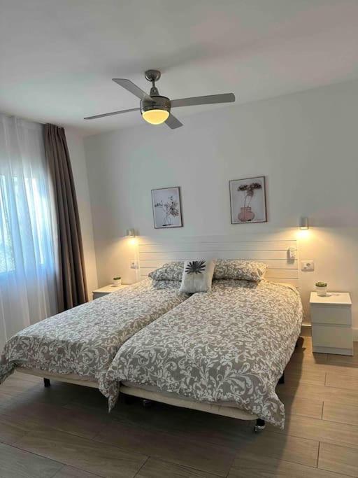 Pachi Beach Alisios Playa קורלחו מראה חיצוני תמונה